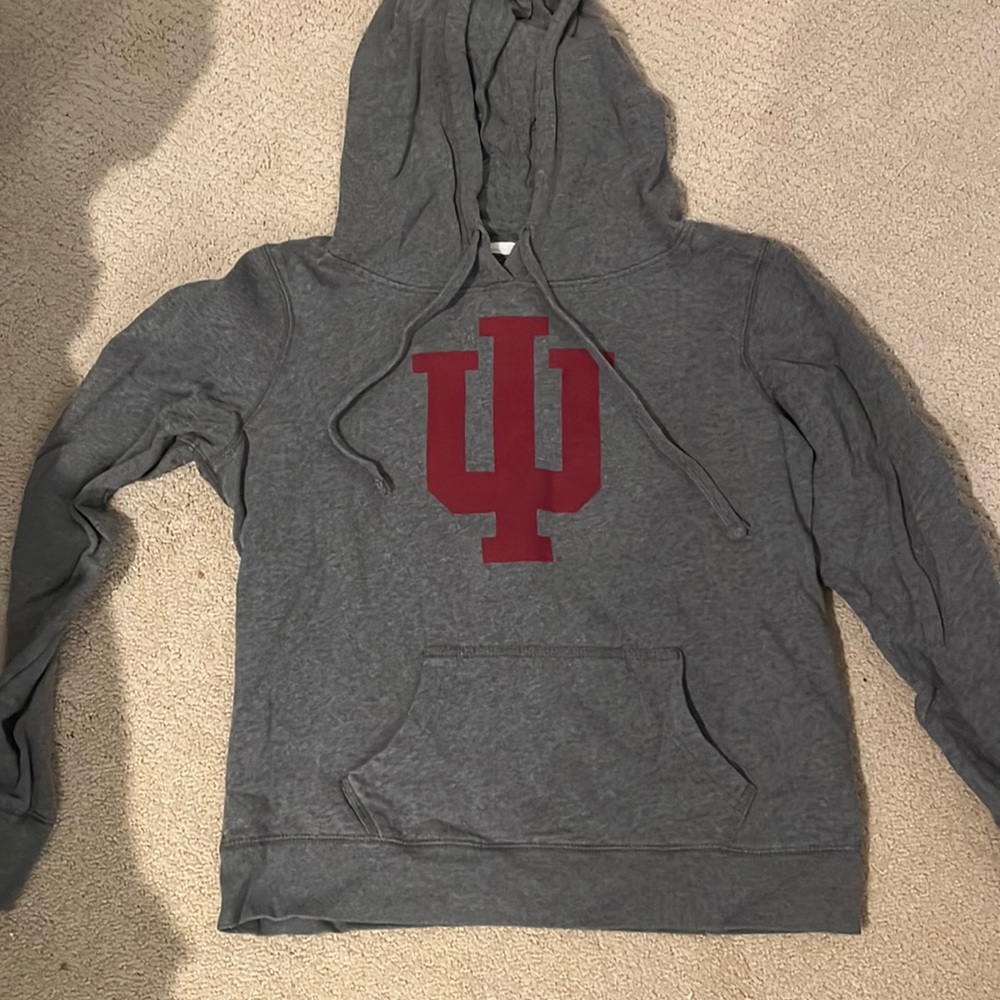 Grey Indiana Hooded Sweatshirt